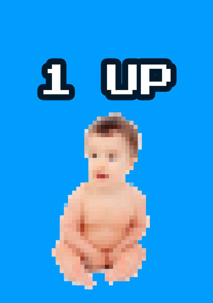 25 Blumenkarten - Maison Fidele