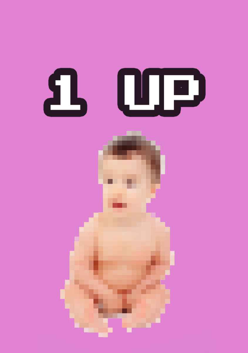 25 Blumenkarten - Maison Fidele