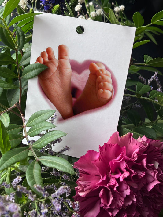 Baby Girl - Maison Fidele