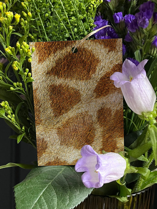 25 Blumenkarten - Maison Fidele