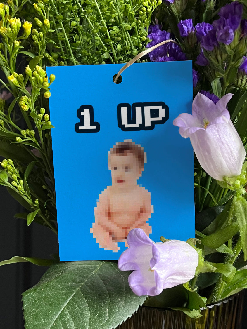 25 Blumenkarten - Maison Fidele