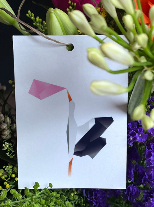 25 Blumenkarten - Maison Fidele