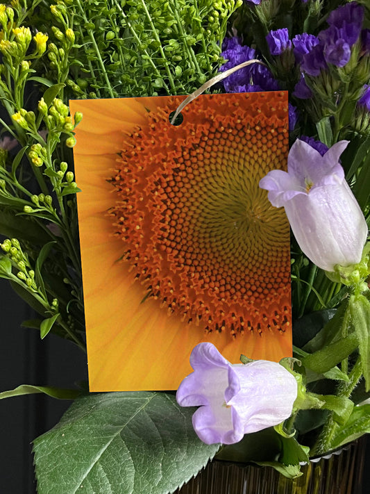 Close Up Sunflower - Maison Fidele